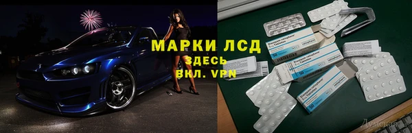 индика Алзамай