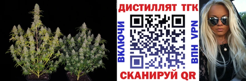 omg маркетплейс  дарк нет состав  Дистиллят ТГК Wax  Кудрово 