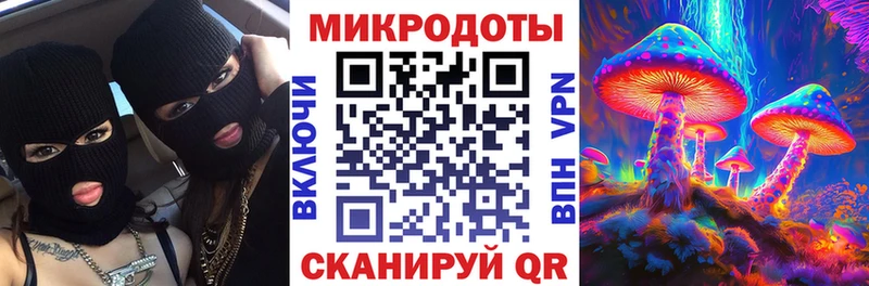 Галлюциногенные грибы GOLDEN TEACHER  купить  цена  Кудрово 