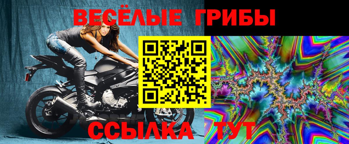 Псилоцибиновые грибы MAGIC MUSHROOMS  Псилоцибиновые грибы Cubensis  Кудрово  Вход с VPN 